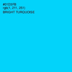 #01D3FB - Bright Turquoise Color Image
